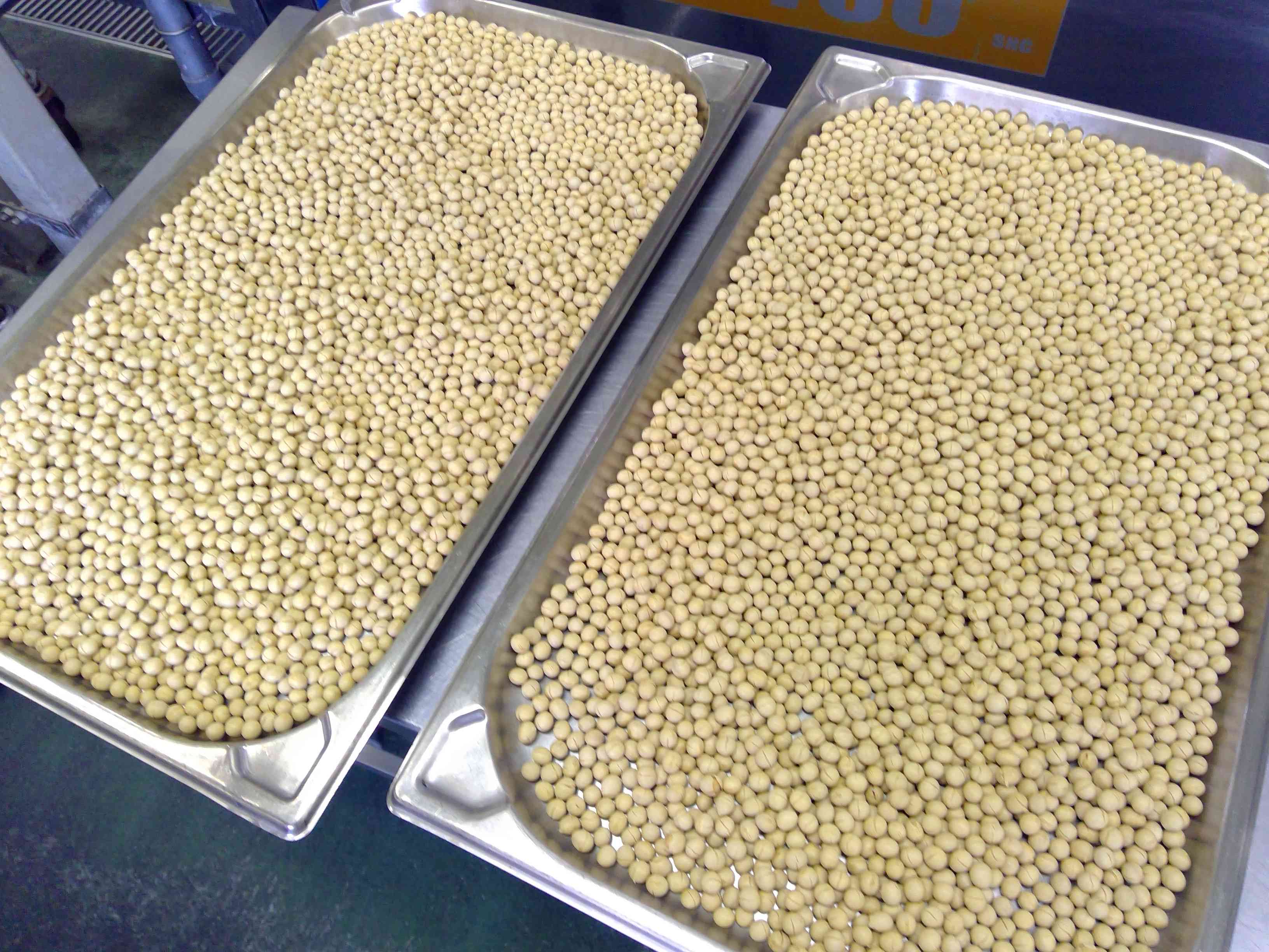 WIN_20251015_09_13_40_Pro