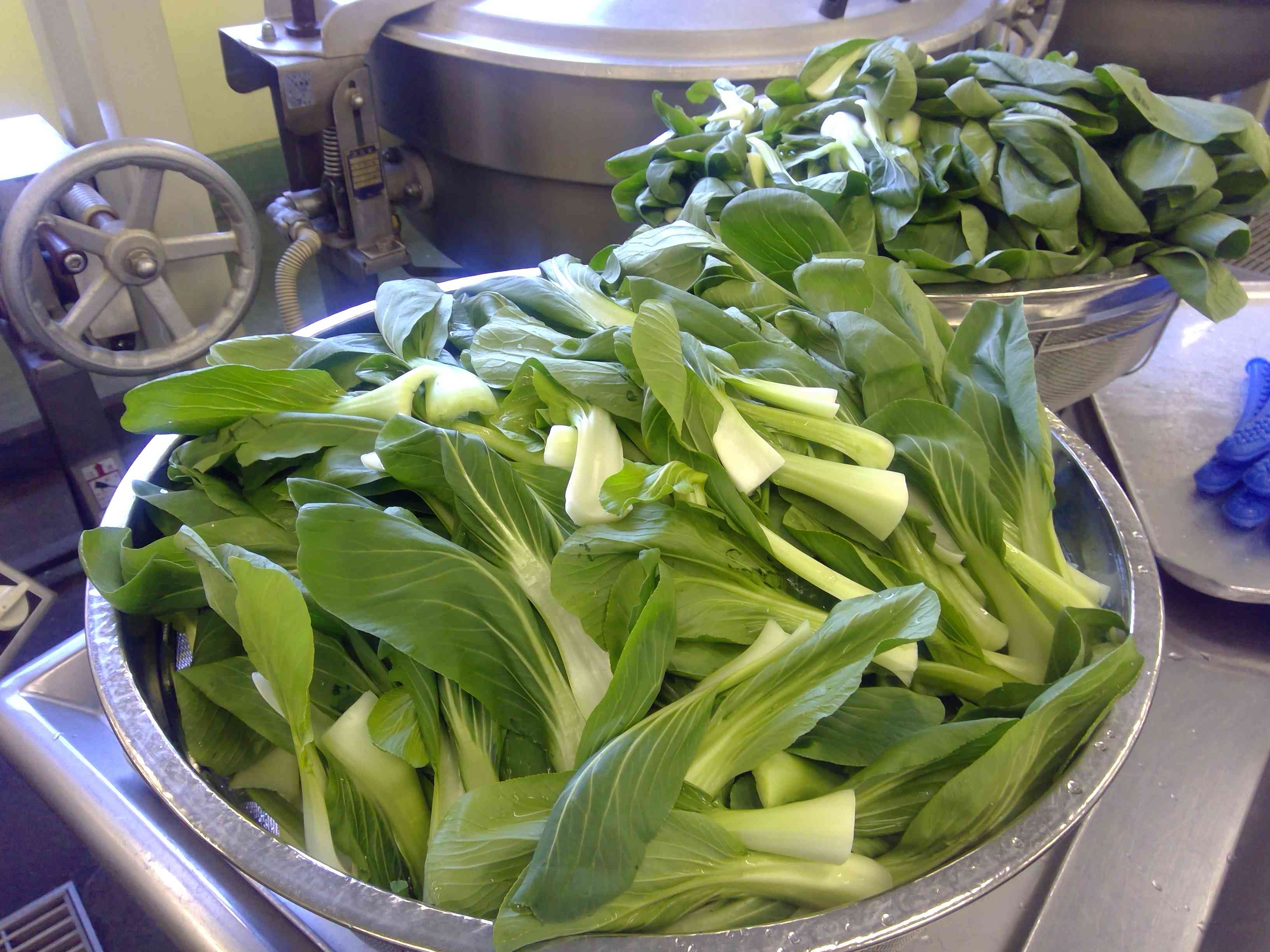 WIN_20251017_09_18_11_Pro