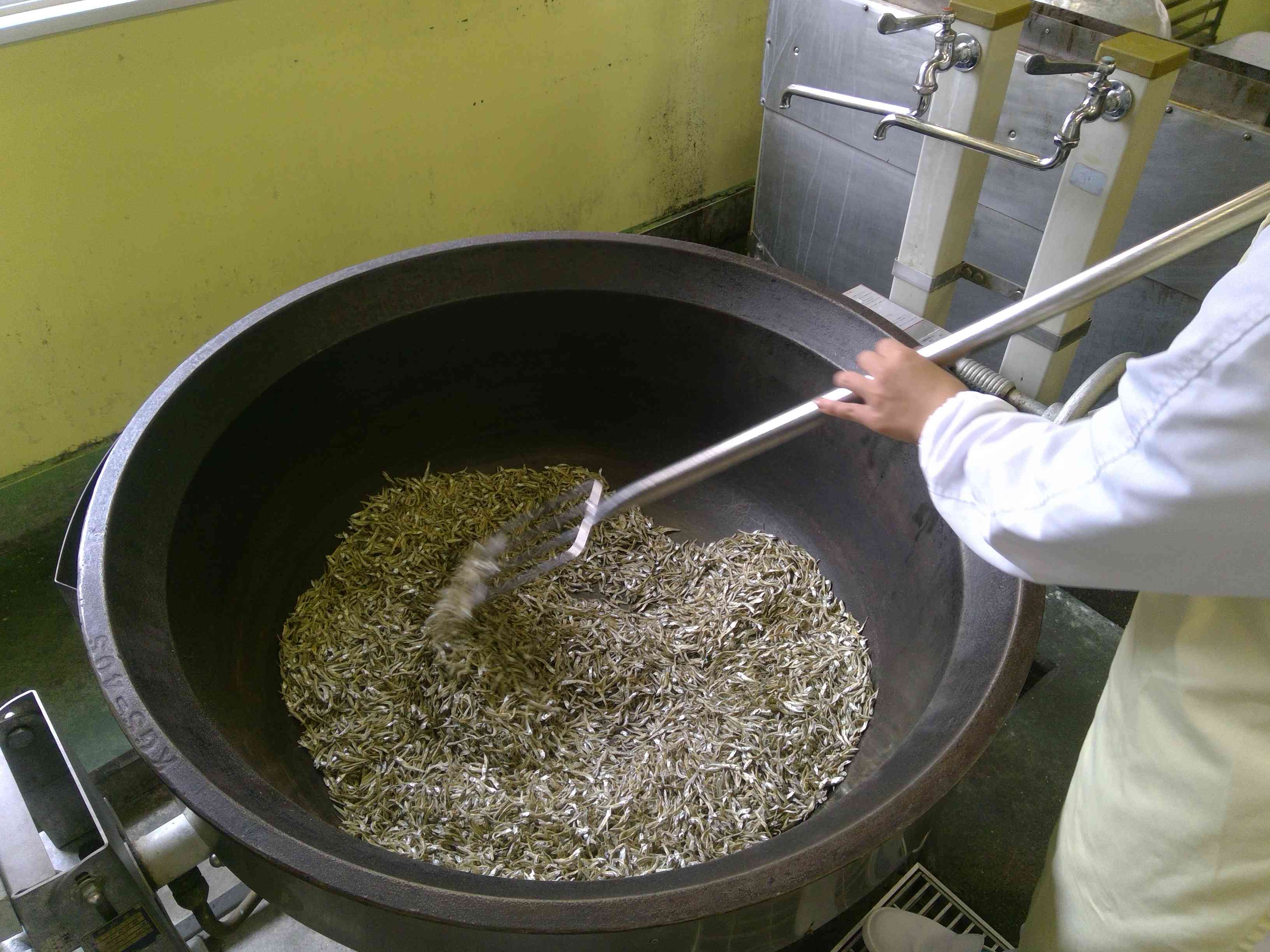 WIN_20251021_10_24_40_Pro