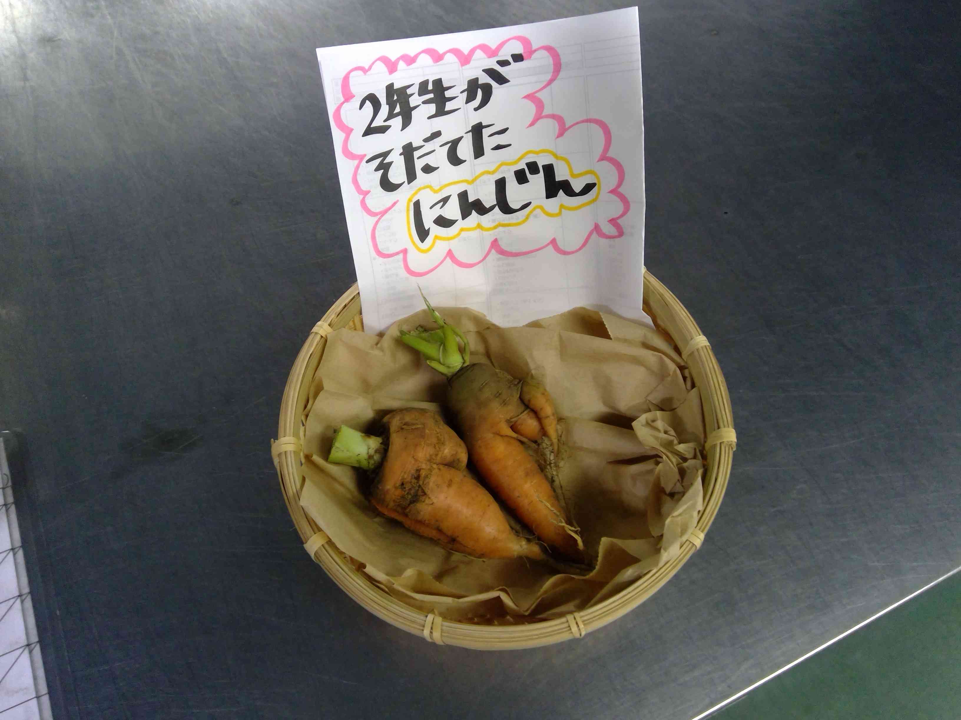 WIN_20251028_12_24_38_Pro