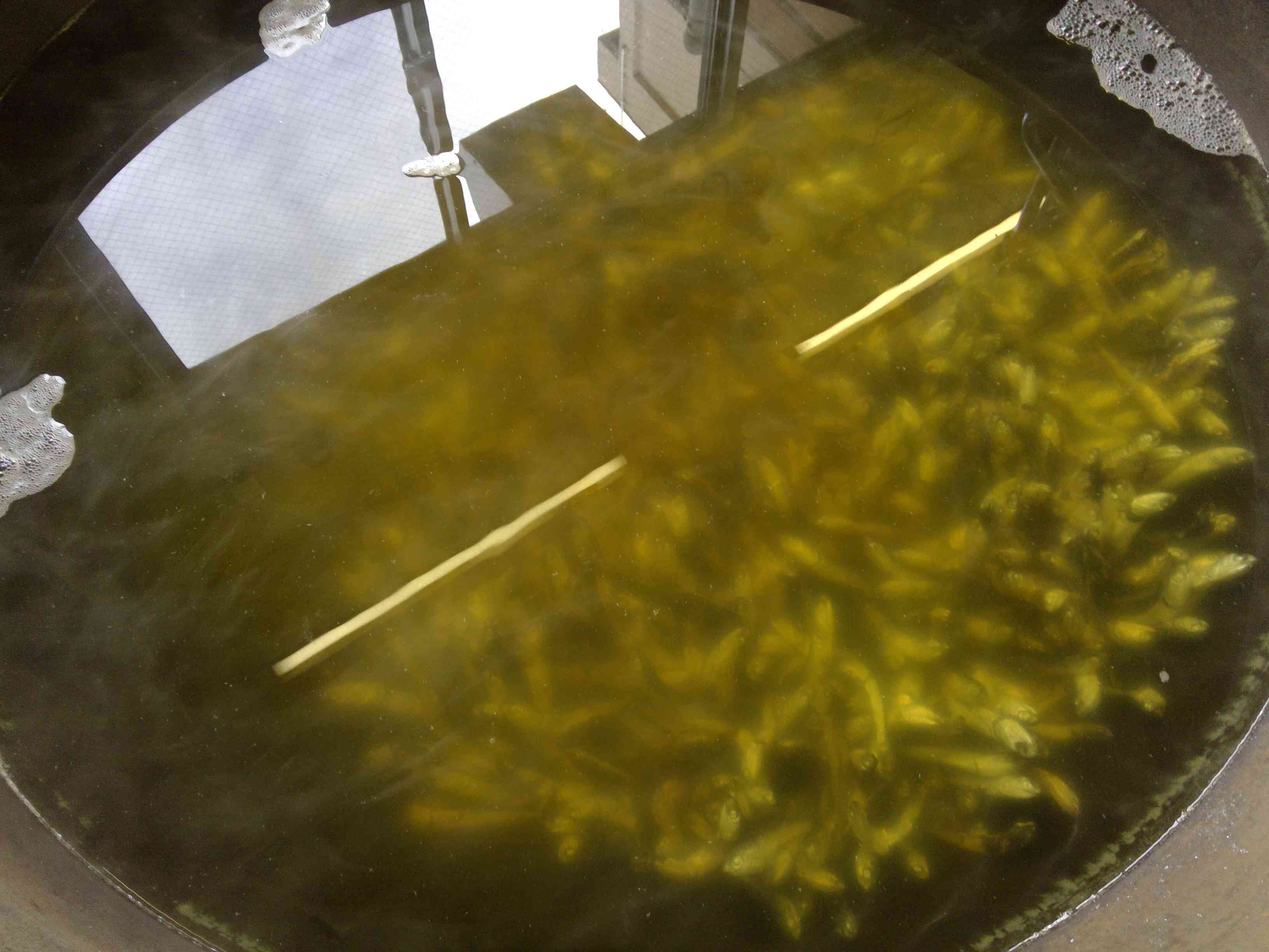 WIN_20251111_10_13_41_Pro