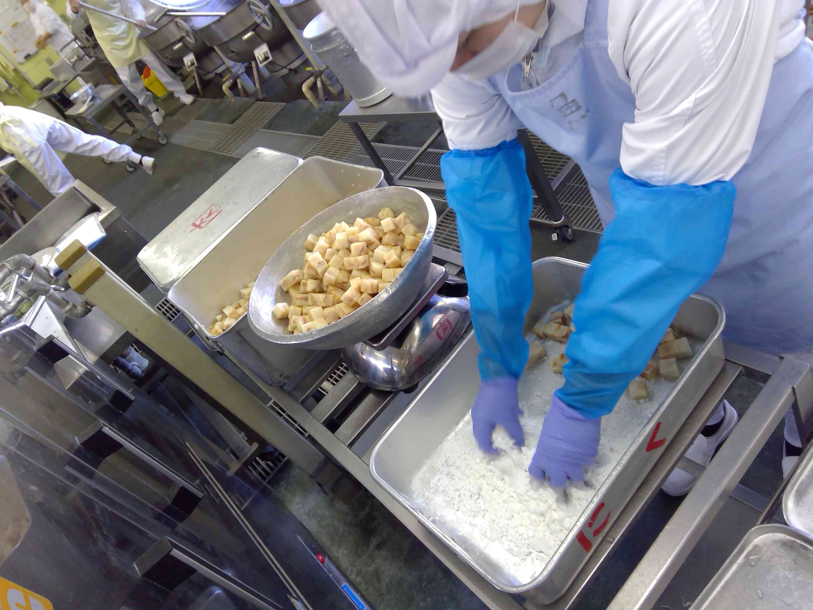 WIN_20251127_10_13_10_Pro