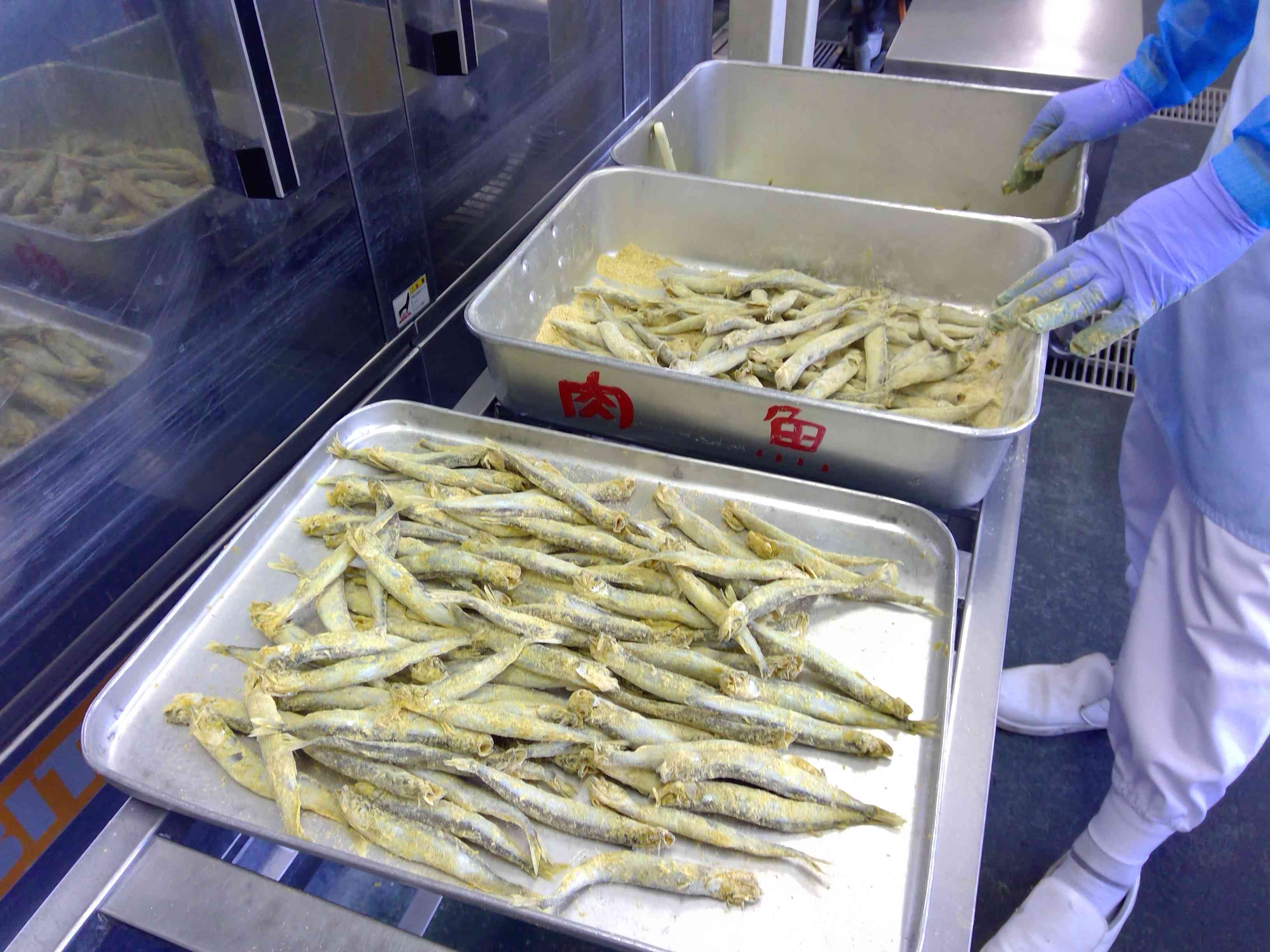 WIN_20260218_10_54_43_Pro