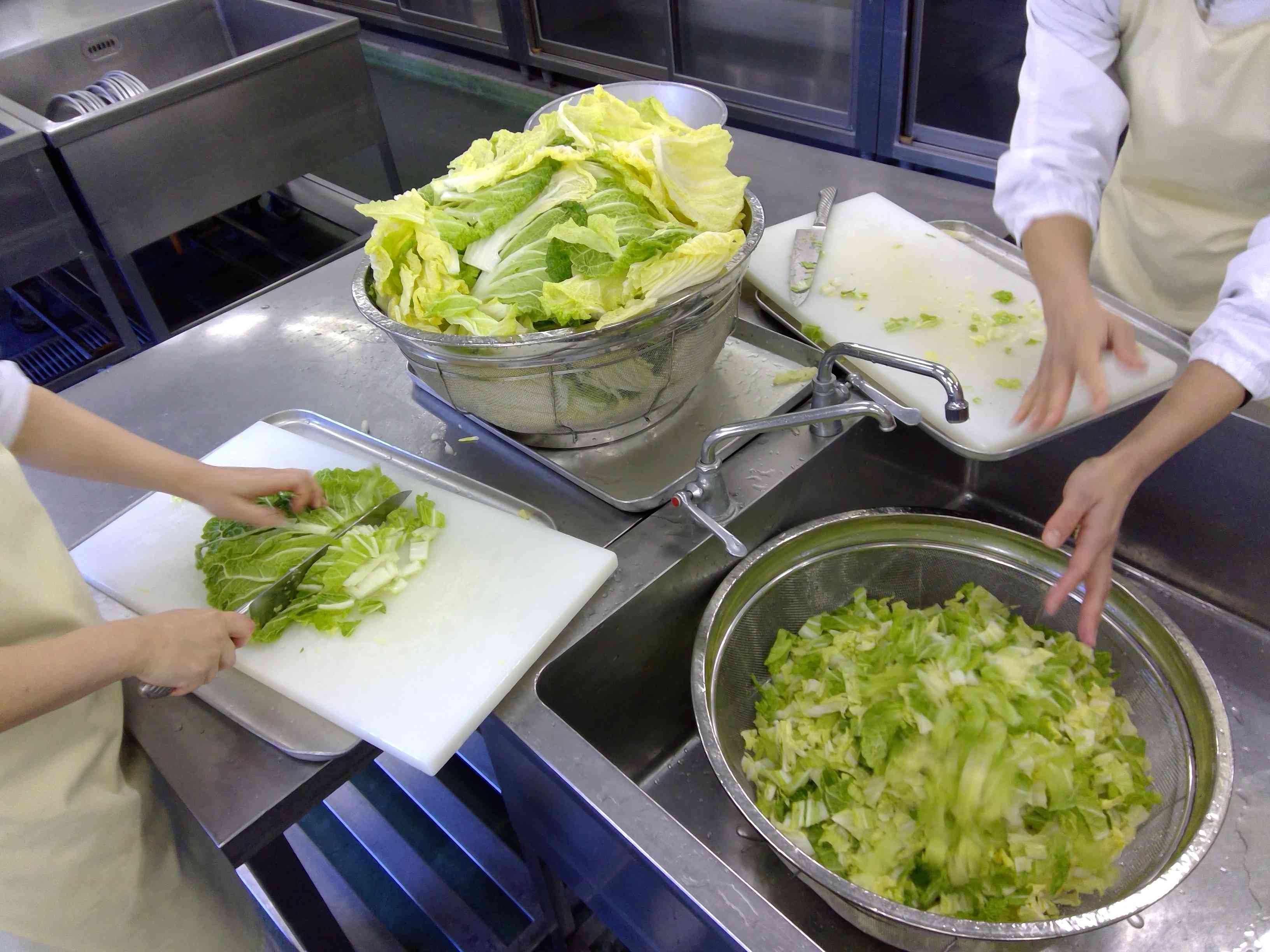 WIN_20260219_09_15_24_Pro