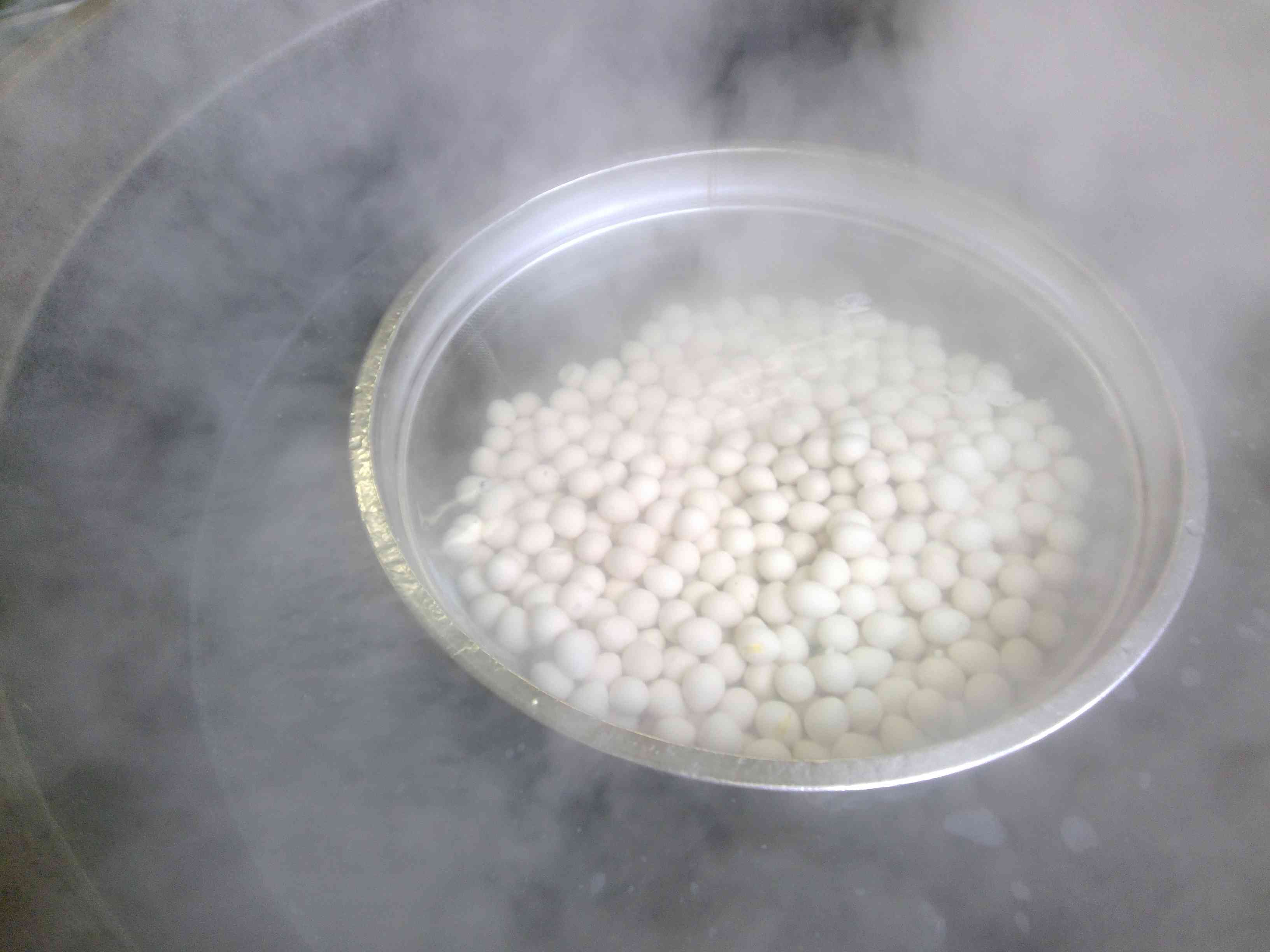 WIN_20260220_11_36_08_Pro