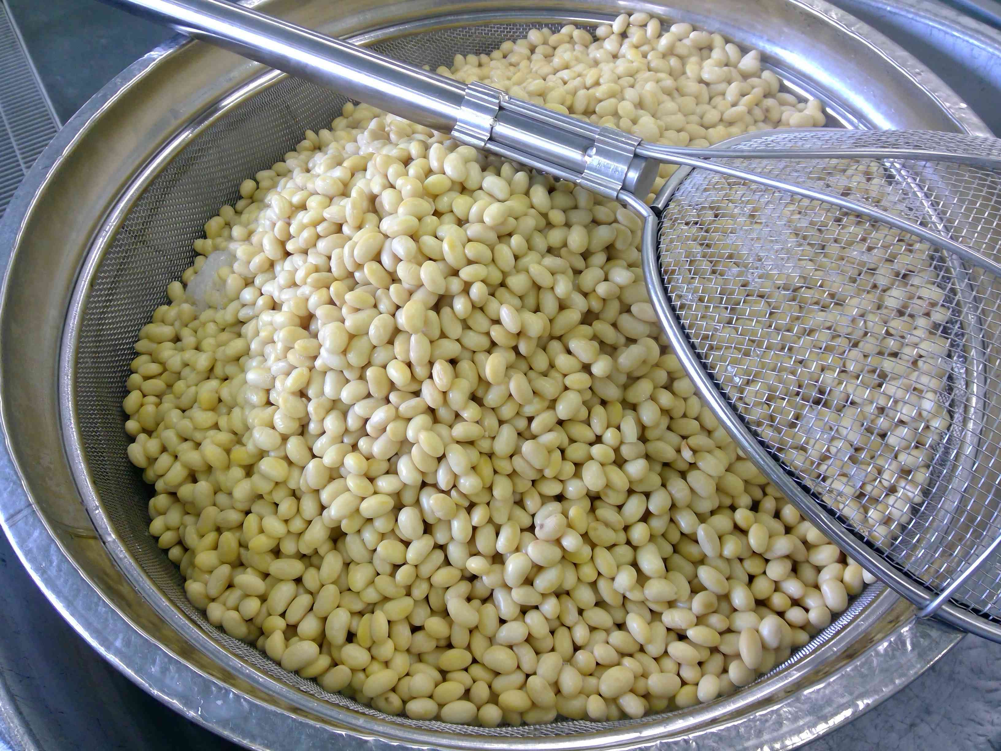 WIN_20260302_10_02_15_Pro