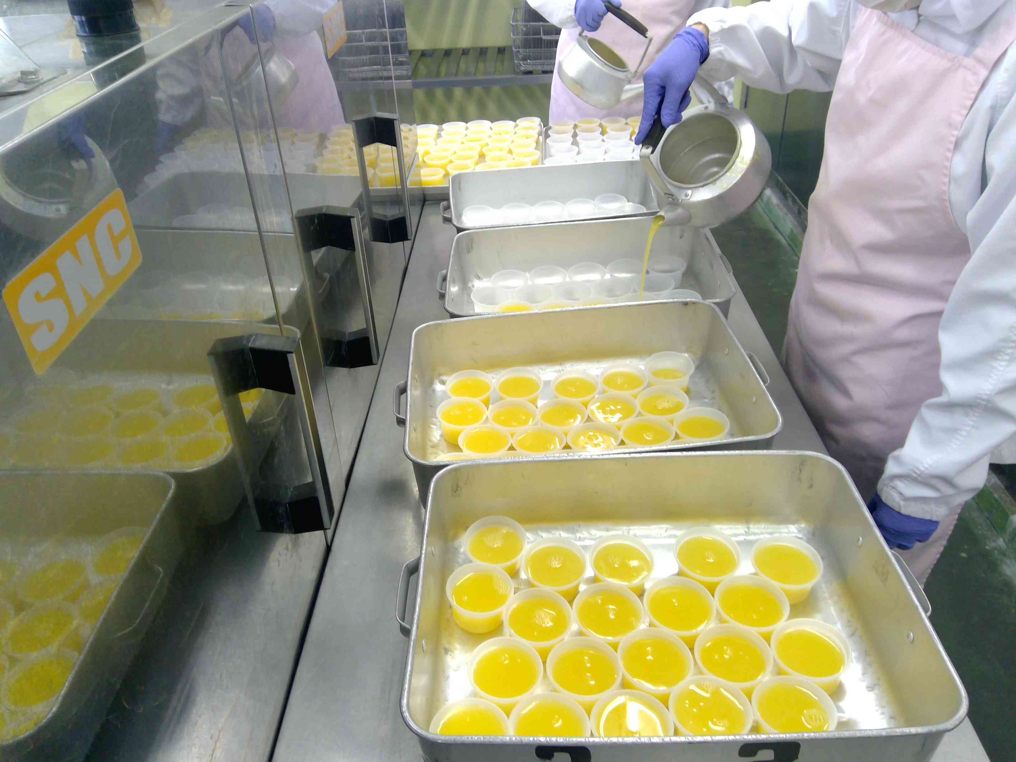 WIN_20260309_11_04_36_Pro