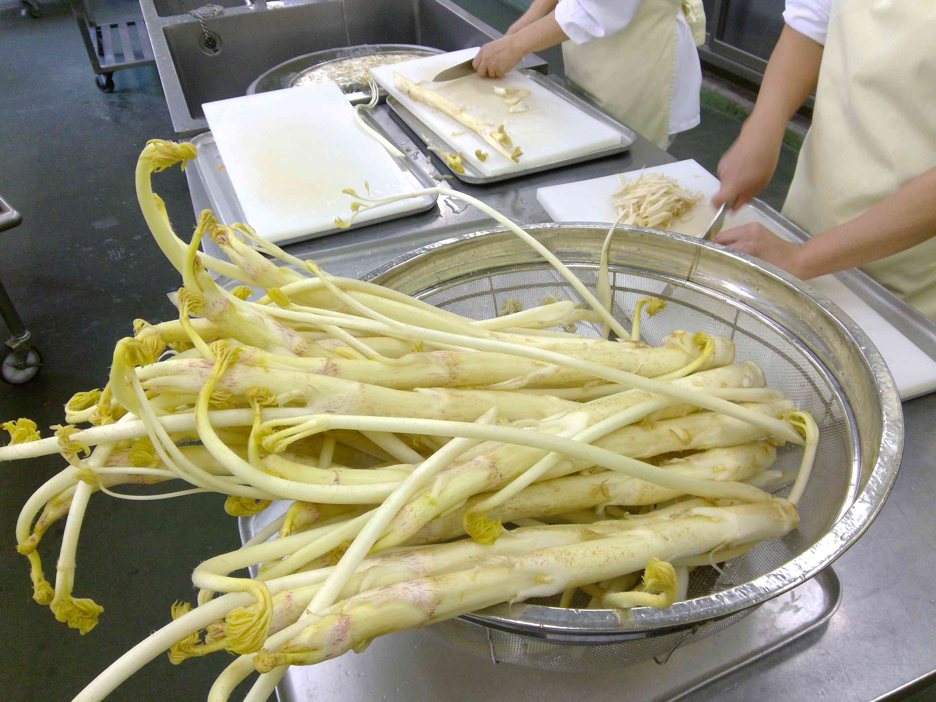 WIN_20260313_08_48_19_Pro