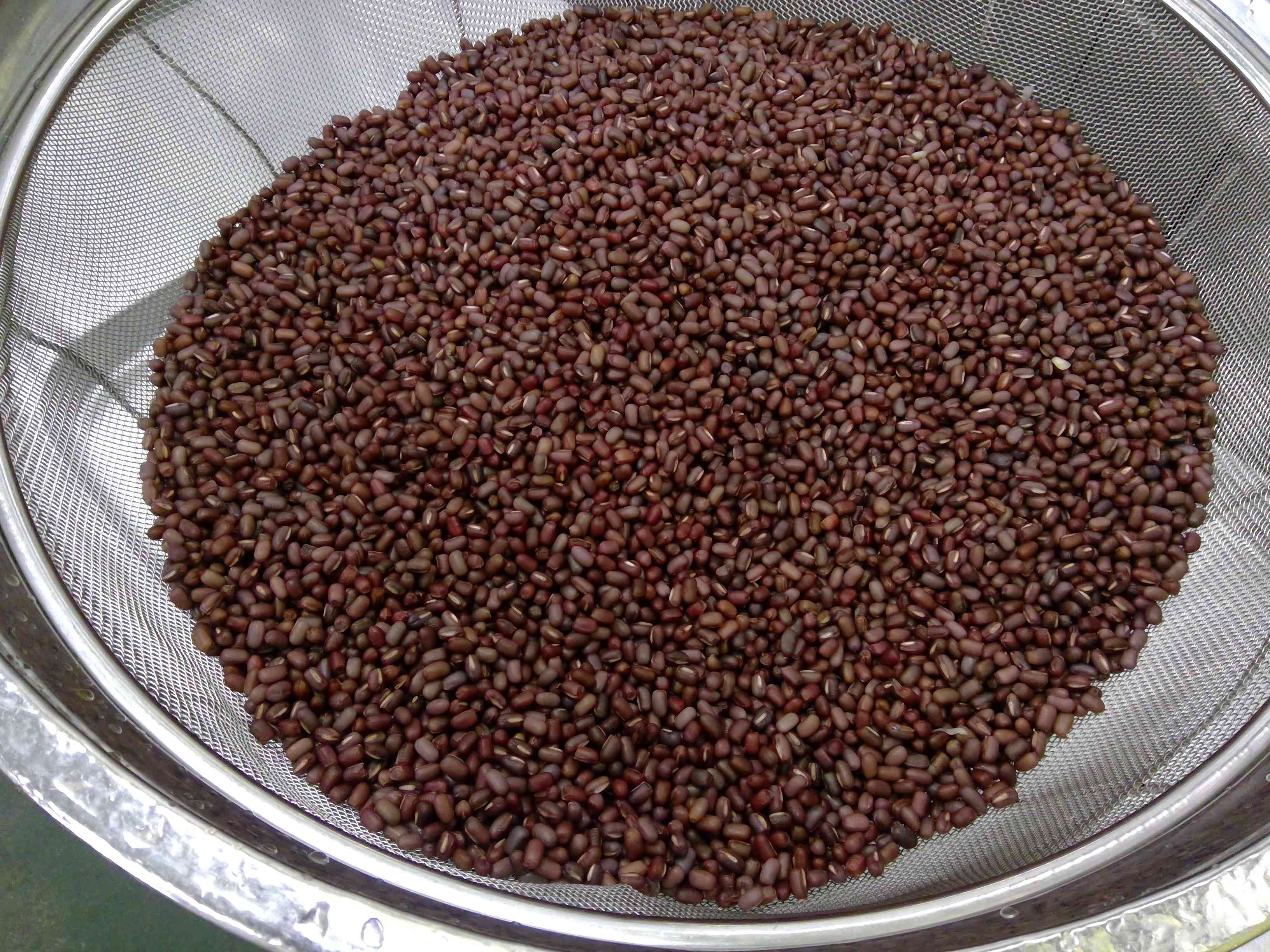 WIN_20260313_08_48_33_Pro